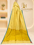Maheshwari half cotton half silk zari piping boader weaving checks rich butti pallu saree with contrast blouse