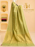 Maheshwari pure tissue with Line boarder designer saree with blouse